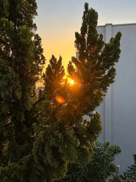 Jardim ao pôr do sol, casa à venda no Condomínio Magnólias I em Araraquara